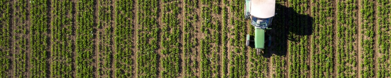 The Geopolitics of Food & Agriculture Aerial view of a person working in a green field with neat rows of crops.