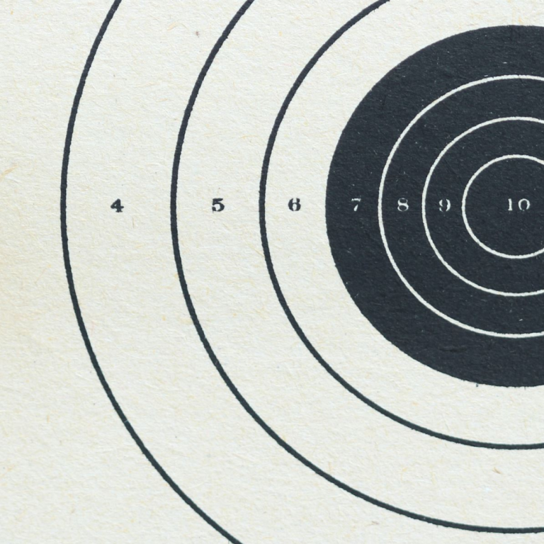 A target with concentric circles and numbered scoring rings.